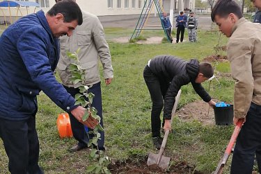 Расцветай, Сагарчин!